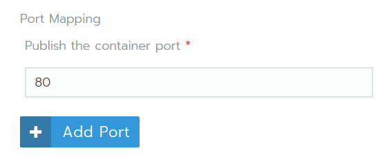 Publish the container port, 80 entered